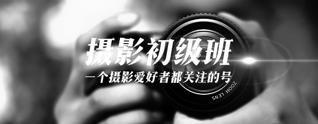 无遮挡又黄又刺激的视频