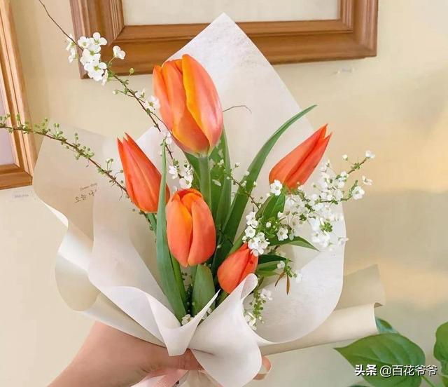 情人节送什么礼物给男朋友情人节除了玫瑰，这些花也代表“我爱你”！
