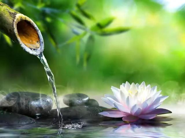 朱熹两首经典诗歌赏析（观书有感、春日）