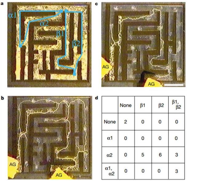 异星觉醒好看吗（异星觉醒里的卡尔文）