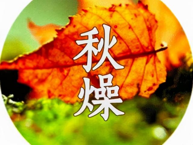 秋季乾燥，要潤肺生津，推薦5道家常菜，做法易學，成本低效果好 熱愛美食 第2张