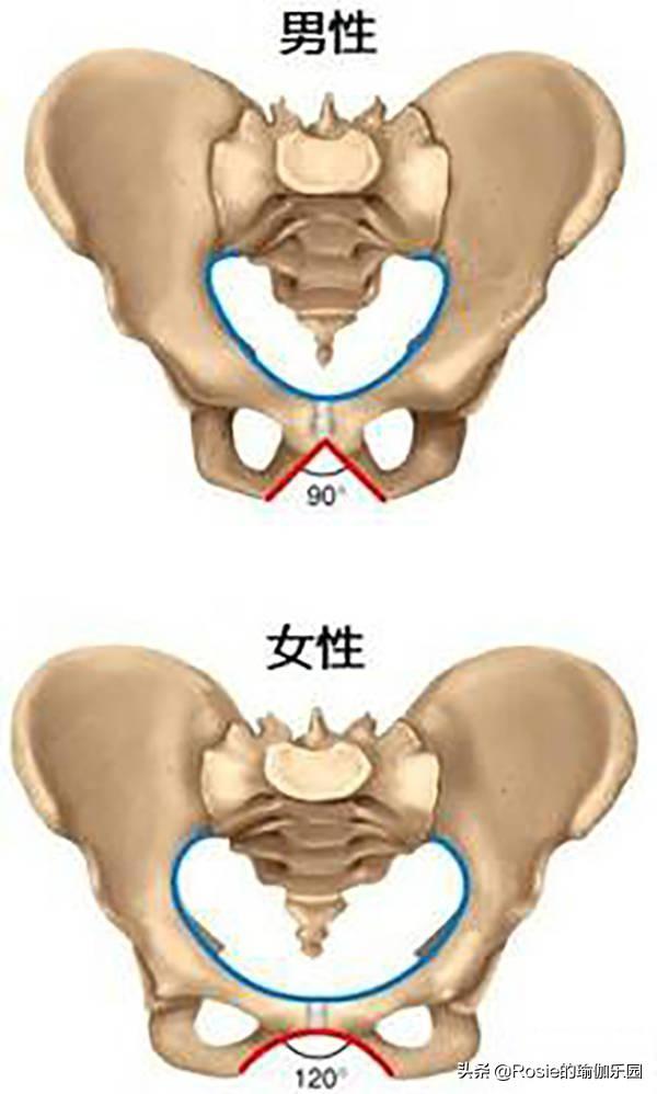 毛戈平給趙露思「換臉」，可遮不住這腿，大腿凸小腿壯如何瘦？ 健身減肥達人 第15张