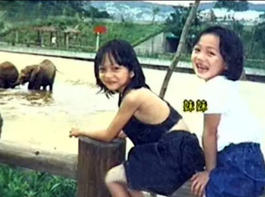 著名歌手張韶涵：請人毆打父母？風光背後的心痛與眼淚 娛樂八卦吃瓜 第2张