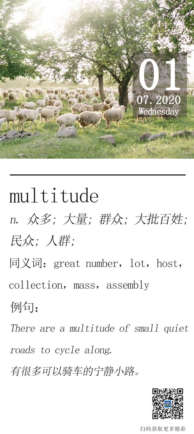 每日一词 | 精选考研英语高频词汇——multitude