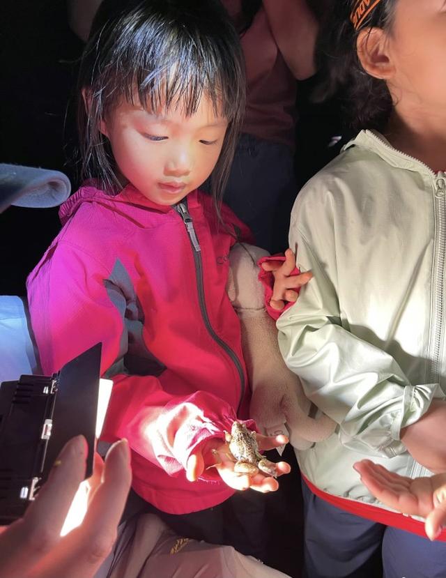 姚晨曬兒女近照，帶娃參加戶外運動，爸爸曹郁基因強大倆娃都像他 娛樂八卦吃瓜 第4张