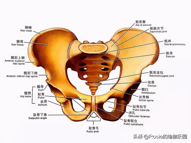 小S熱舞要踢館？長腿細腰身材火辣，4步帶你瘦出同款女團腿 健身減肥達人 第17张