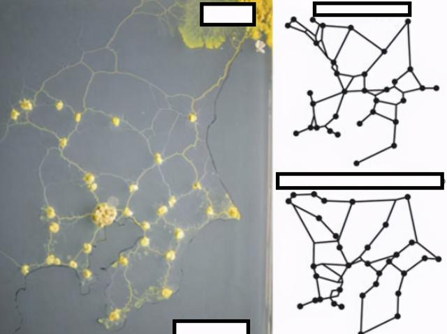 异星觉醒好看吗（异星觉醒里的卡尔文）