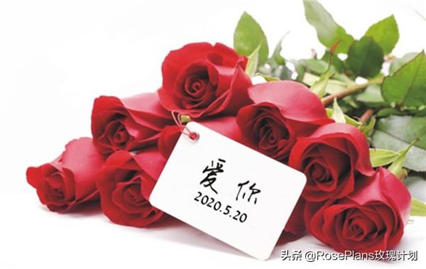 老婆生日礼物排行大全,老婆生日适合送什么花