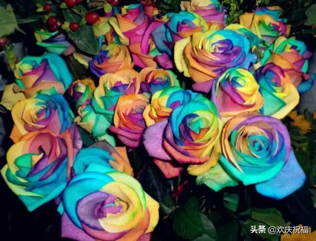 情人节送男朋友什么礼物今天2.14日情人节,999玫瑰送给所有朋友,祝你们情人节快