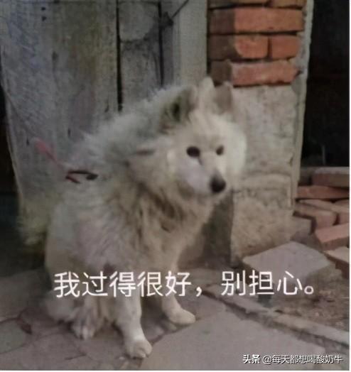 送女生什么礼物可以让她开心很久？ 送什么礼物给女朋友