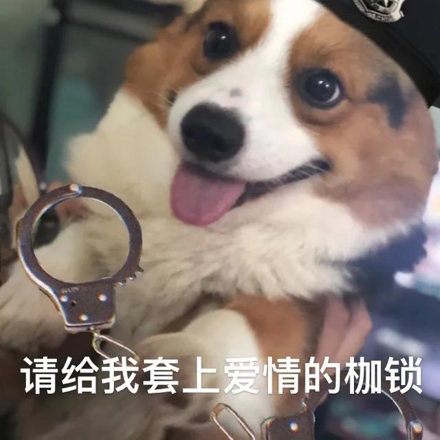 送给女朋友的礼物_1