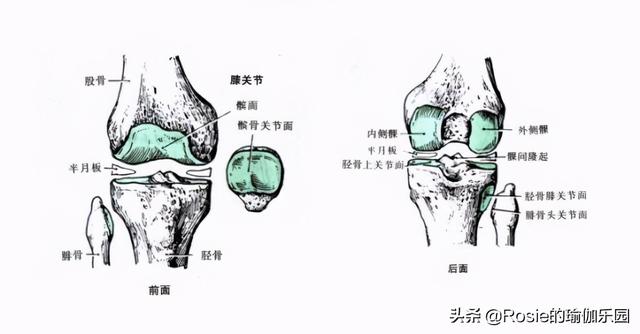 林允又傳新戀情？身材回春長腿耀眼，4步拯救膝超伸get同款美腿 健身減肥達人 第16张