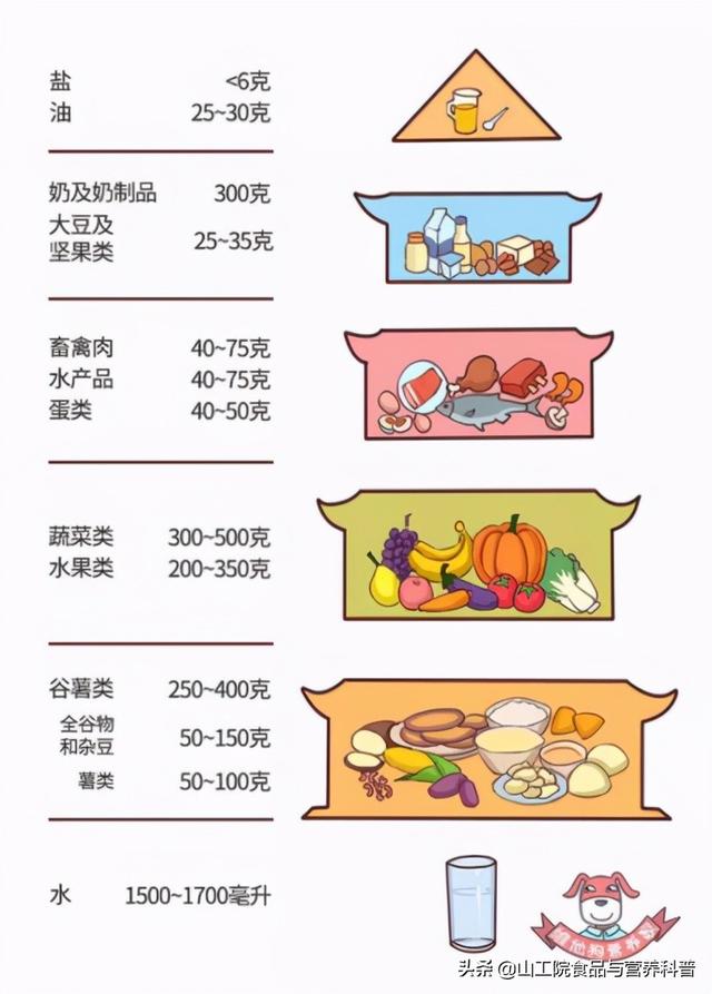 膳食宝塔食物模型图片（平衡膳食宝塔五层结构）