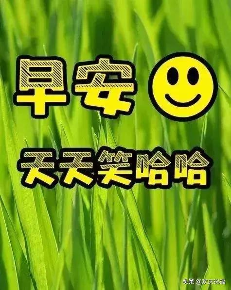 微信群发清晨送朋友的正能量暖心祝福，温馨的早安祝福句子