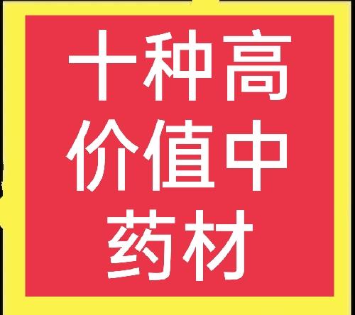 农村常见的中草药图片及名字（十种农村常见中药材）