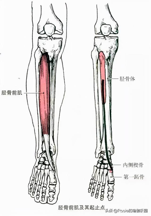 劉詩詩仕女造型驚艷全場，美腿加持似仙女，關注這一點解鎖小鳥腿 健身減肥達人 第21张