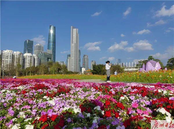 包罗万象是什么生肖 车水马龙是什么生肖插图5