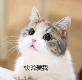 情人节送男朋友什么这才是我们女生情人节最想收到的礼物！美到哭！