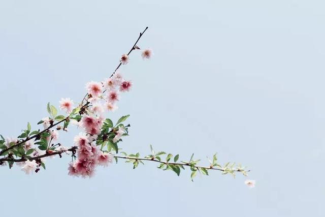 情人节送男友什么礼物好50首情人节经典歌曲，带你回忆温暖浪漫的时光！