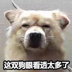 情人节送男友什么礼物来救你了！超全情人节礼物推荐，照着买不出错