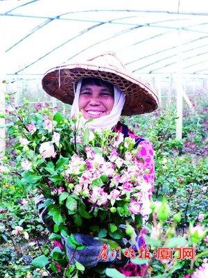 情人节送男朋友礼物花市行情火爆，玫瑰花批发价破纪录