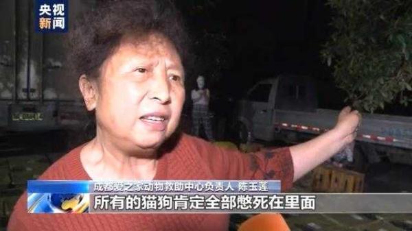 最低几块钱，“宠物盲盒”电商平台仍在卖