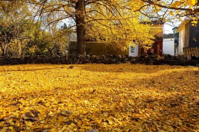 这个“十一”朋友圈里的云南又美出新高度