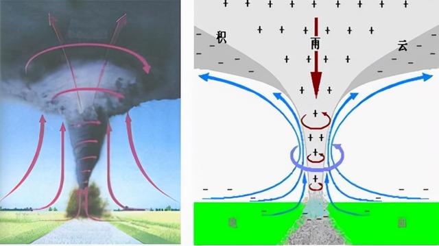 青海湖龙吸水事件（水里的鱼会被吸走吗）