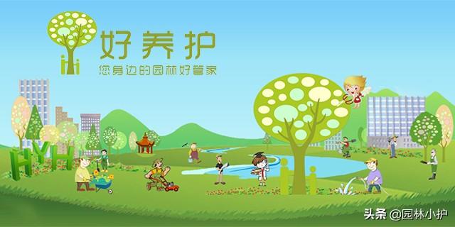 情人节送玫瑰花图片六种有“色”的情人节，你知道几个？