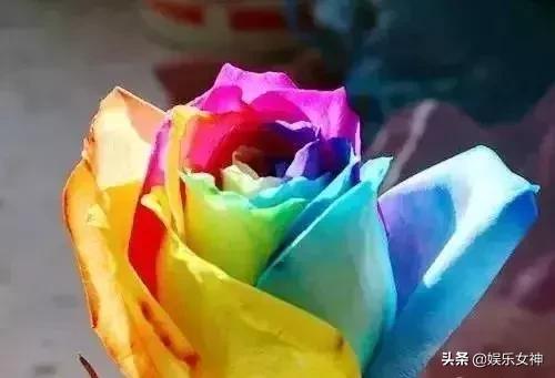 情人节送男友什么礼物今天2.14情人节，214漂亮玫瑰送给群里每位朋友~醉倒一批