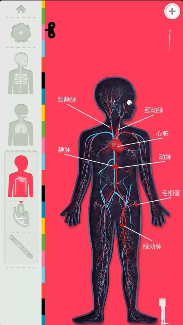 专门看星座的软件(有没有专门研究星座的软件)插图34