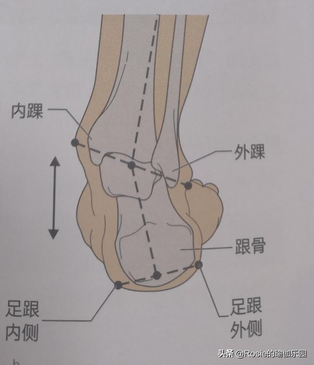 46歲佘詩曼馬甲線長腿似少女，雙腿內扣有鼓包如何破？5步帶你練 健身減肥達人 第9张