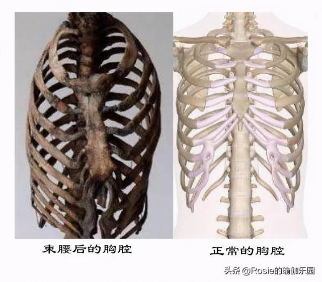 李雪琴登上《男人裝》被嘲，她不性感？每天堅持這4步微胖也性感 健身減肥達人 第18张