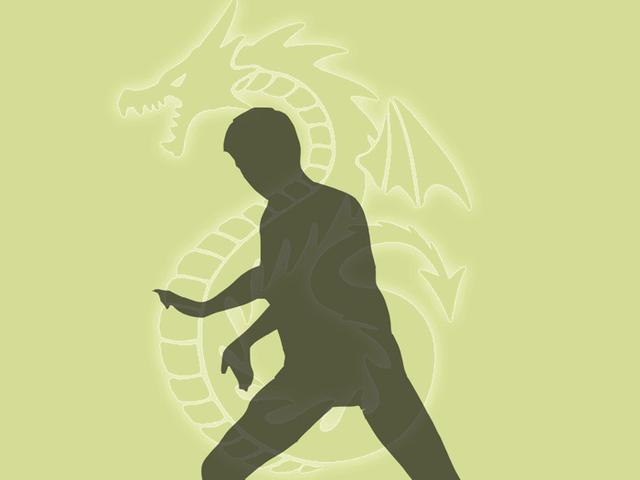 降龙十八掌招式图解降龙十八掌招式口诀