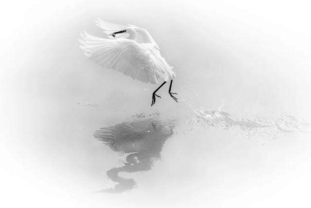 2020年“美丽中国，我是行动者” 主题摄影比赛微信投票通道正式开启