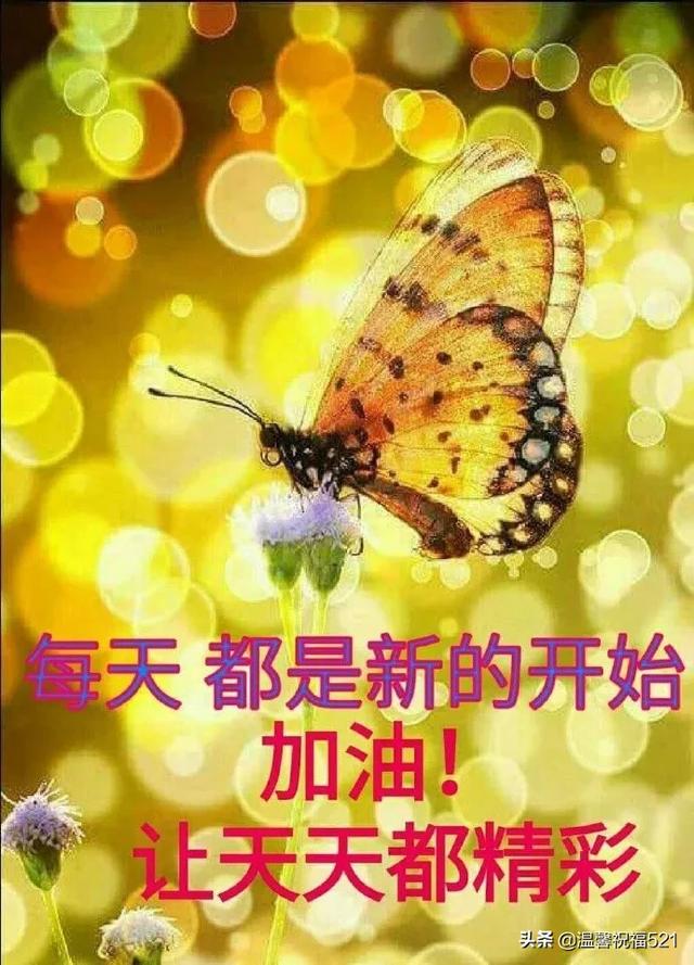 幸福的早晨,从问好逐渐!