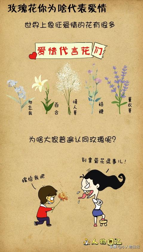 情人节送什么礼物好那么多象征爱情的花，为什么人们更钟情于玫瑰花？