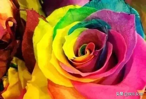 情人节送男友什么礼物今天2.14情人节，214漂亮玫瑰送给群里每位朋友~醉倒一批
