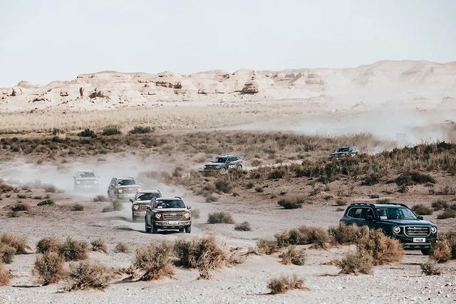 首试 | 绝妙平衡 长城汽车 哈弗大狗