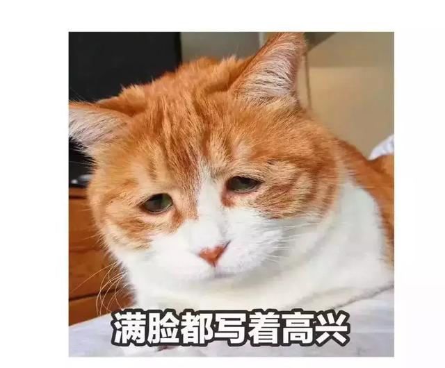 一篇更为实用的七夕送礼指南（女友篇） 七夕送女朋友礼物排行榜