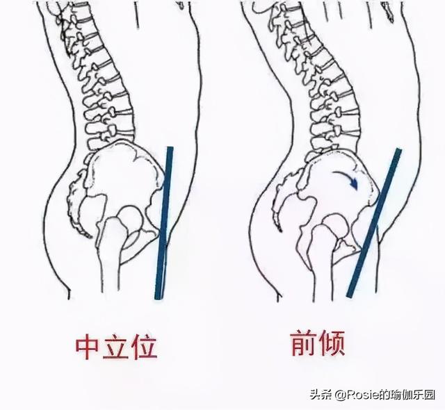 顯胖5斤的小肚子你有嗎？找對成因堅持3步，解鎖喬欣同款好身材 健身減肥達人 第12张