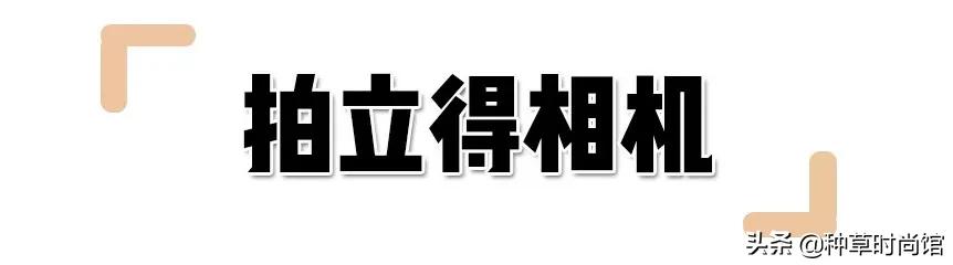 8款情人节礼物！太太太太甜了 女朋友过生日送什么礼物好