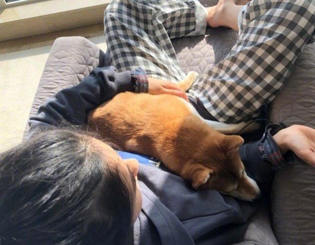 張子楓綜藝節目穿搭，簡單干淨又清爽大方，不愧深受黃磊何炅喜愛 娛樂八卦吃瓜 第6张