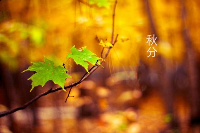 天冷吃什麼才能禦寒？80歲老爺爺教我這樣吃，補中益氣，手腳不涼 熱愛美食 第1张