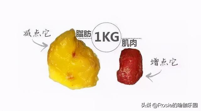 想1個月掉秤20斤？減肥前做好這3步，甄別偽健身瘦身更高效 健身減肥達人 第7张