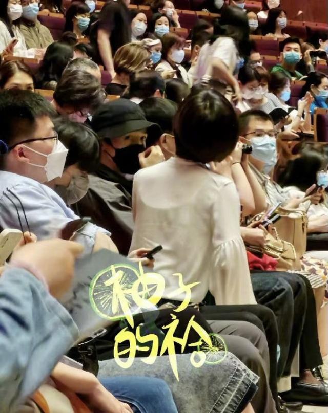 胡歌薛佳凝疑似復合！兩人私下關系密切，胡歌低調看薛佳凝演出 娛樂八卦吃瓜 第3张