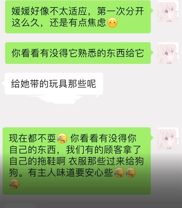 狗狗寄養思念主人，主人寄來貼身衣物，狗：就是這個味兒 萌趣萌寵 第3张