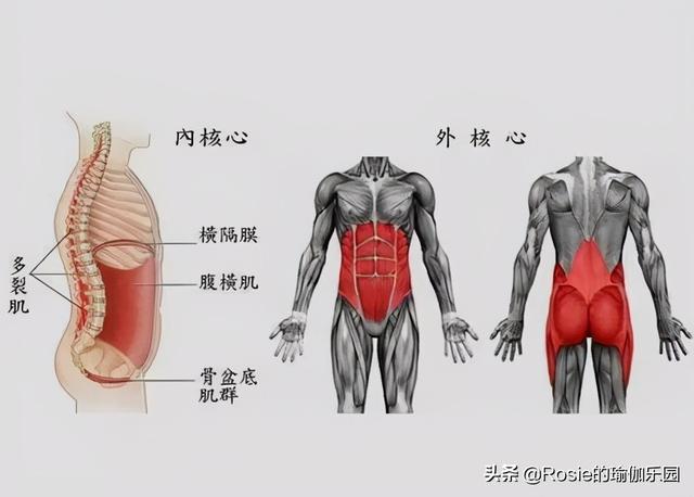 蔣欣長腿細腰超模範兒，如何XO腿變美腿？超模私教帶你3步練 健身減肥達人 第18张
