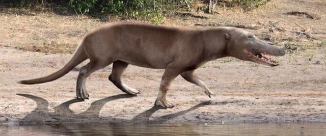 鲨鱼是不是哺乳动物（鲸鱼鲨鱼鳄鱼哪个厉害）
