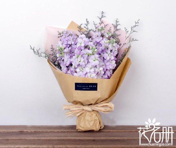 情人节送玫瑰花图片520送什么花好，520玫瑰花最能表达爱意
